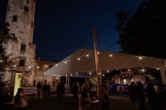 2022-08-12_AUSTROPOP-NIGHT-HOHENEGG-lq-77